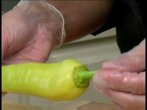 how to harvest hungarian wax peppers
