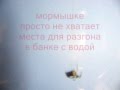 Безнасадочная мормышка "Муха"