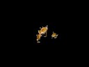 Spore Creature Creator Video