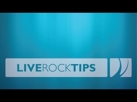 how to cure aquarium rock