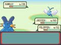pokemon sapphire version 2 vs 2
