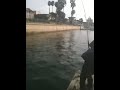 Ethans first barracuda
