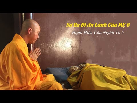 Sự Ra Đi An Lành Của Mẹ 6 - Hạnh Hiếu Của Người Tu 5