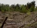 Current 93 - The Descent of Long Satan and Babalon (PL)
