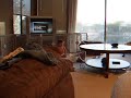 Hunter & Ryker - Attacking the wipes! (Dec 2009)