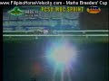 www.filipinohorsevelocity.com