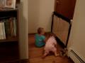 baby play