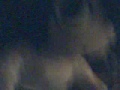 L caught on camera L caught on camera
