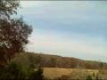 videos de Tree hunt part 7