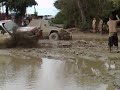 machito pegado  en cangrejera