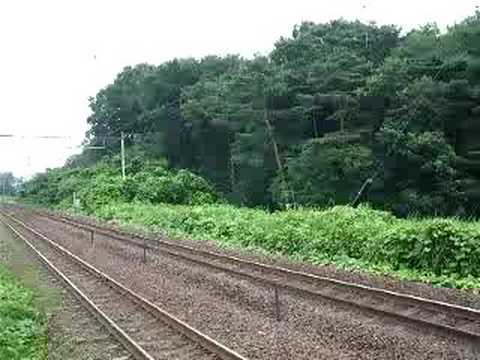 キハ５８系　仙ココ車　快走