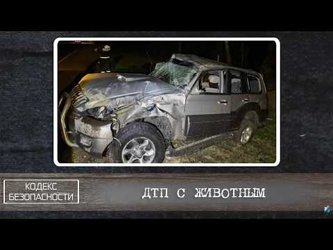 Кодекс безопасности. 15.04.26.