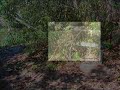 Blue Tongue Bend - Warrandyte State Park