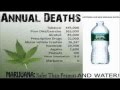 Anonymous Op Cannabis 420 Phase 2