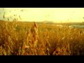 Nikon D5000 AF-S 18-55mm Magic Hour Test