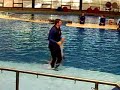 Dolphin Show National Aquarium Baltimore Maryland