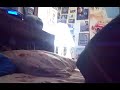 Angry wolf animal