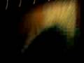 twelve spot