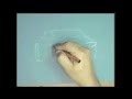 tutorial desenho de carros   rally 1   designer bira  