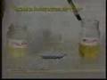 Técnica holandesa de pintura à óleo