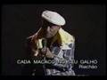 Riachão - Cada macaco no seu galho