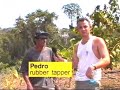Film-from-Brazil-Whe