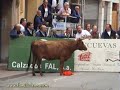 Fiestas Arnedo 2007.- Encierros 2� parte