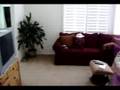 Short Sale in Beaumont CA