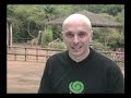 Passeio Animal - Girafa