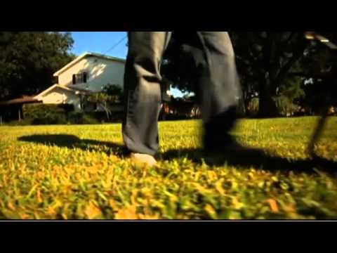 Florida-Friendly Fertilizing