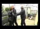 Pink Light - Leo Sayer (Explicit)