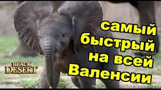 Black Desert (RU) - Как быстро ездить по пустыне? Ездовой слоненок в BDO Black Desert (RU) - Как быстро ездить по пустыне? Ездовой слоненок в BDO
