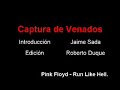 captura de venados
