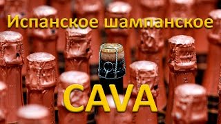 Кава - испанское шампанское