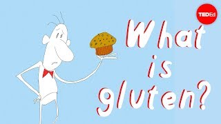 What’s the big deal with gluten? – William D. Chey