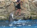 Texas State Aquarium