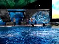 Shamu Rocks- Intro