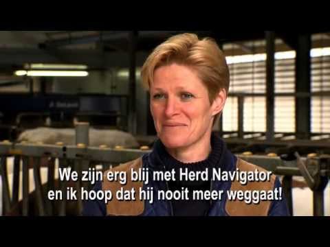 Herd Navigator in de praktijk