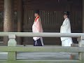 Wedding procession at Meiji Shrine