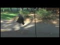 Oh I forgot to give props to all North Carolina Squirrels - Happy Squirrel Appreciation Day! http://t.co/YOIklzbM via @youtube
