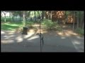 John Prine Damn Squirrel