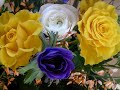 Mozart - il re Pastore.L\