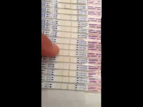 how to ovulation test