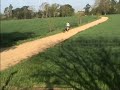 Canicross de Vidreres