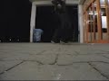 New Awc-Moe & Yannick