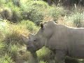 Kilimanjaro Safari: Part 3