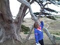 Kaikoura Kaikoura