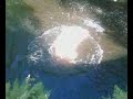 hanz jumping into water hanz jumping into water