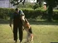Real Schutzhund v3