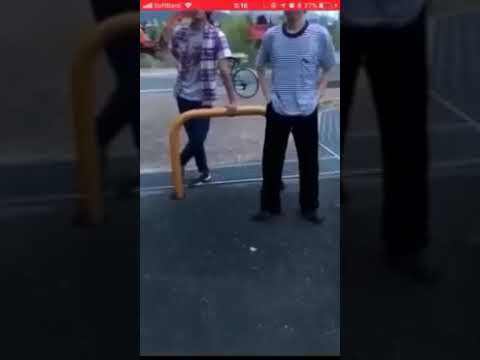 動画